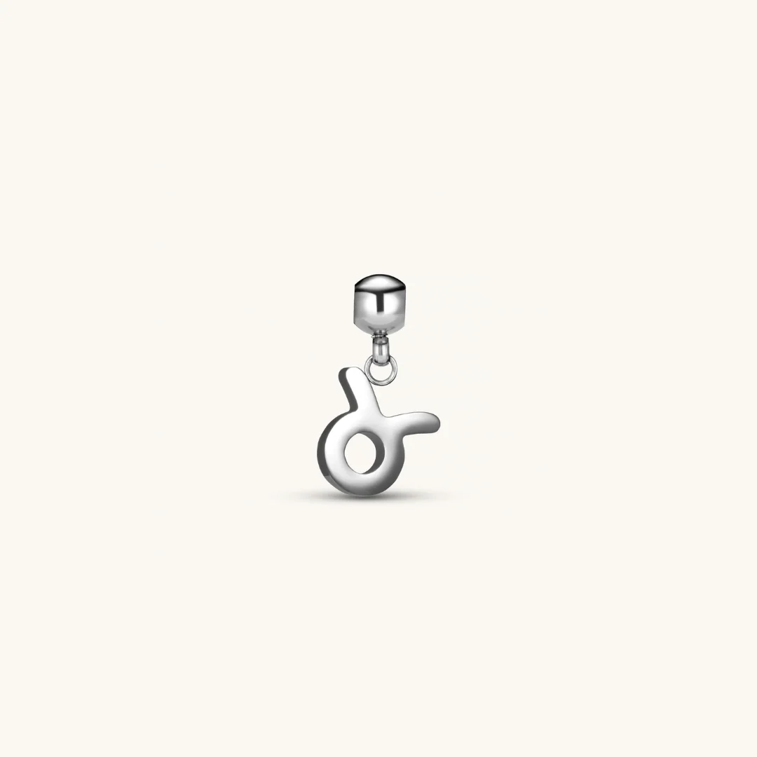 Taurus Classic Charm Silver